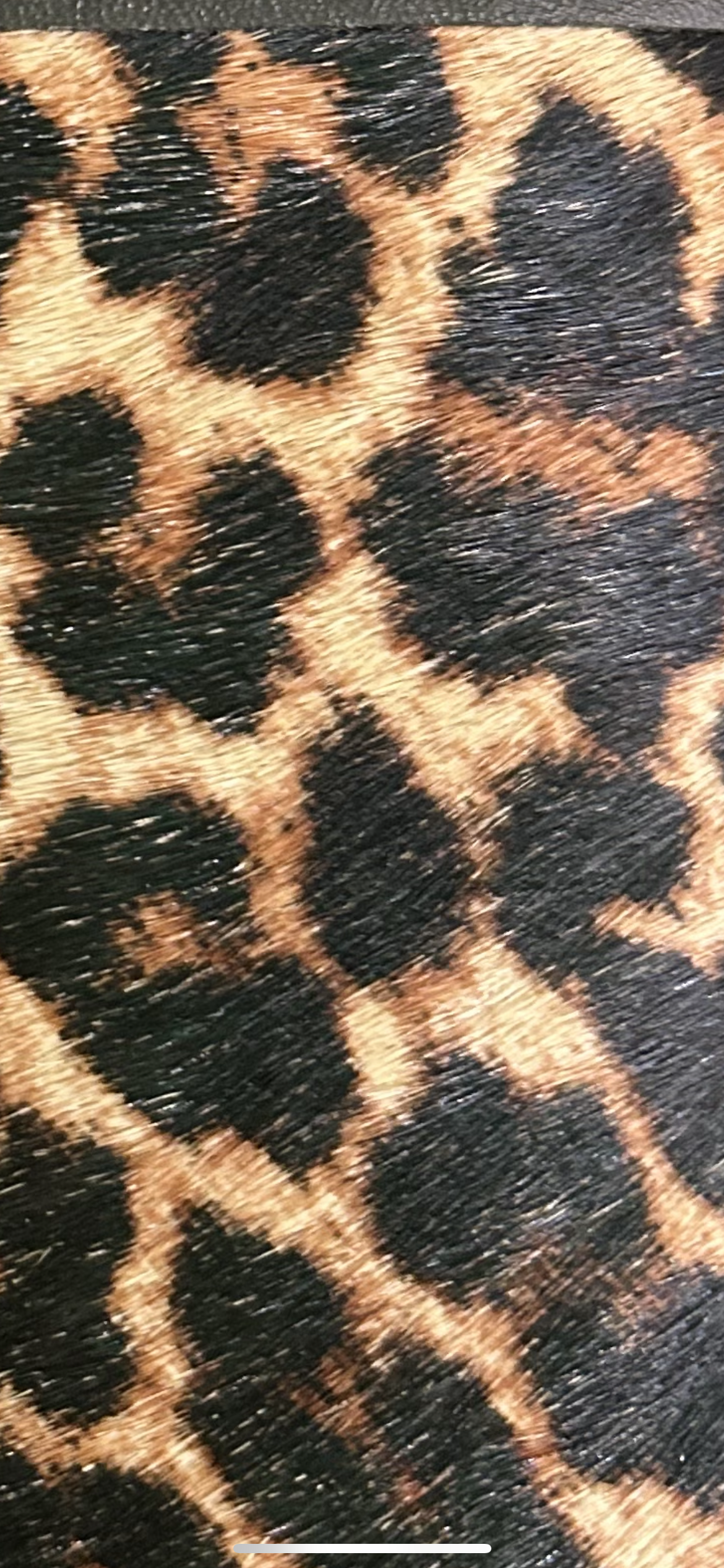 Savanna